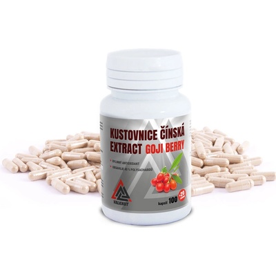Valknut Goji Berry Kustovnice čínská extrakt 120 kapslí