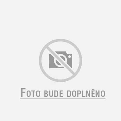 Debbex Woodfix D3 Lepidlo na drevo 5 kg biele