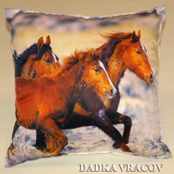 Dadka Fotovankúš Tri kone 40x40