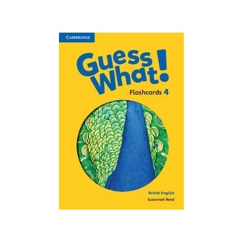 Guess What! Level 4 Flashcards (88)
