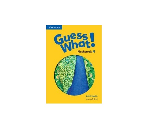 Guess What! Level 4 Flashcards (88)