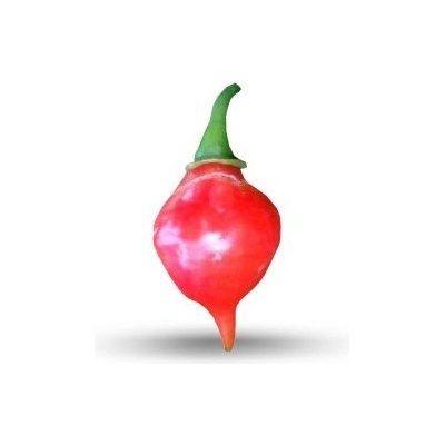 Semínka Piquant Paprička chilli PEITO DE MOCA