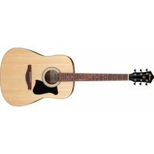 Ibanez V40-OPN