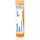 CHAMOMILLA VULGARIS POR 15CH GRA 1X4G