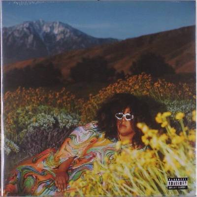 Brittany Howard - What Now LP