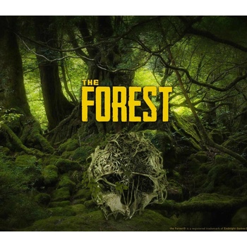 The Forest
