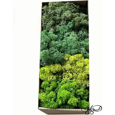 Скандинавски мъх 4 цвята по 50гр (11-12-13-14)