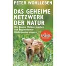 Das geheime Netzwerk der Natur Peter Wohlleben