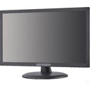 Hikvision DS-D5024QE