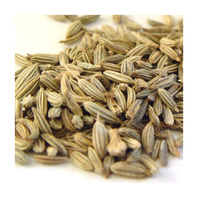 World Herbs Anýz plod 100 g