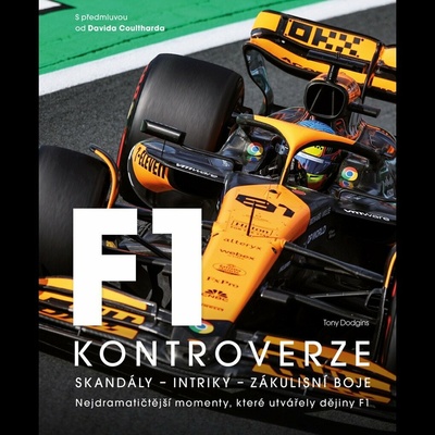 Formule 1 - Kontroverze - T. Dodgins