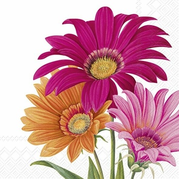 IHR Servítky veľké Joyful Gerbera 33x33cm