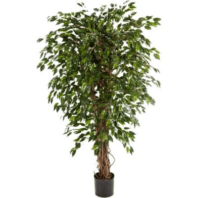 Umelý Fikus - Ficus exotica hawaiian liana branched 180 cm
