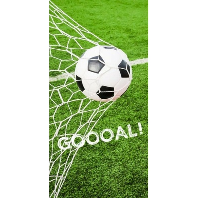 Detexpol Osuška Fotbal gól 70 x 140 cm