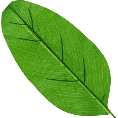 Umelý zelený list 40cm