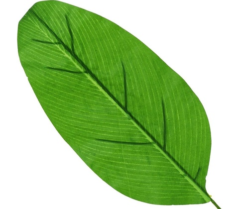 Umelý zelený list 40cm