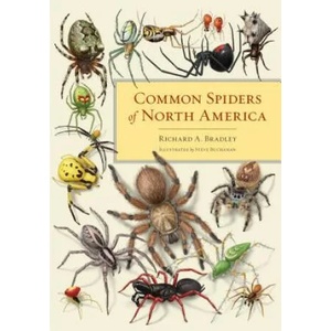 Common Spiders of North America | Richard A. Bradley (2019)