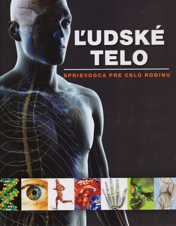 Ľudské telo