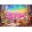Educa - Puzzle Astrology - 5 000 piese