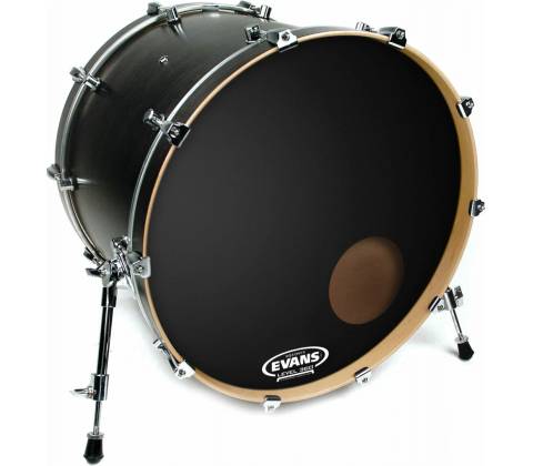 Evans BD20RONX