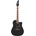 Ibanez ALT30-BKM