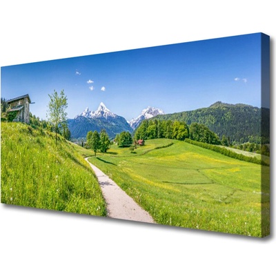 Obraz Canvas Hory lúka chodník údolí 100x50 cm