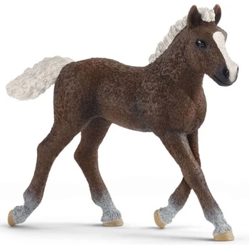 Image 1 of Schleich Фигурка Schleich Farm World Horses - Шварцвалдско конче с бяла грива (13899-03958)
