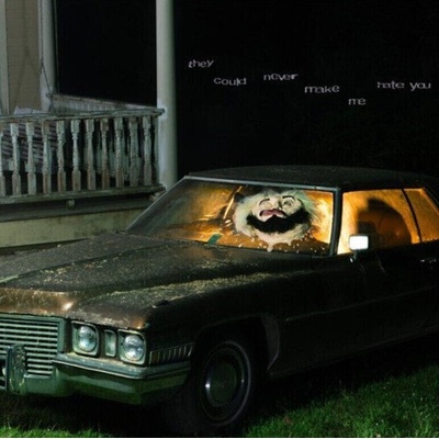 Pouya - They Could Never Make Me Hate You (Swamp Thing Coloured) (LP) (197342717120)