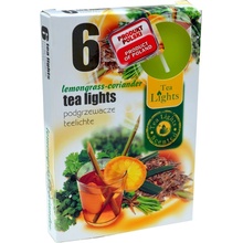 Admit Tea Lights Lemongrass-Coriander 6 ks