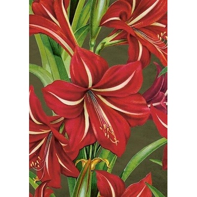 Přání Red Christmas Flowers
