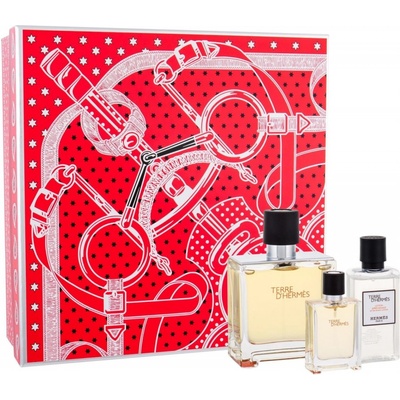 Hermès Terre D'Hermés parfumovaná voda pánska 75 ml