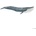 Schleich Wild Life 14806 Blue Whale
