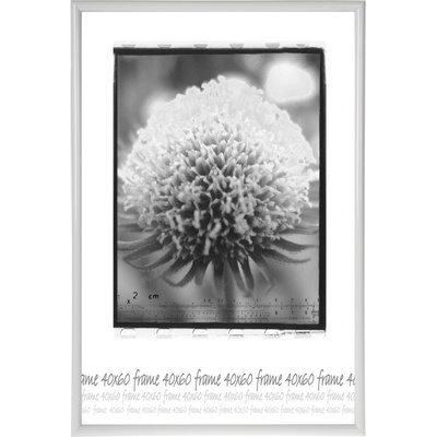 Tradag Rámeček bílý UH 40x60 – Zboží Živě