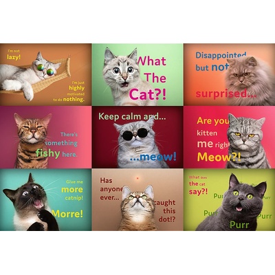 - Puzzle Funny Cats Faces - 1 500 piese
