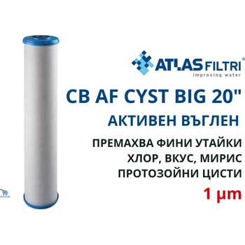 Atlas Filtri Atlas CB AF CYST 20 BIG 1 mcr Патрон Carbon Block CYST за отстраняване на паразити 20" BIG (RE4520CY1)