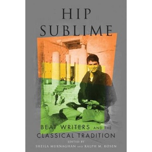Hip Sublime (ISBN: 9780814254691)