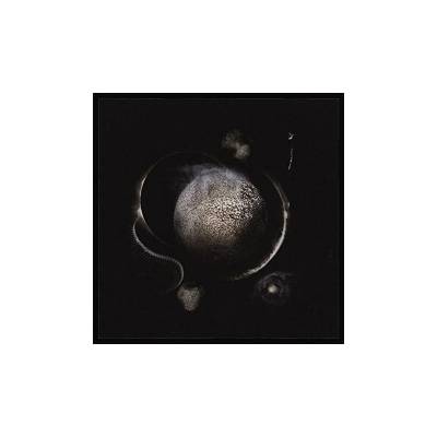 Cold Black Suns - Enthroned LP
