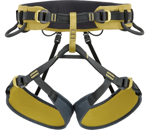 Climbing Technology Wall