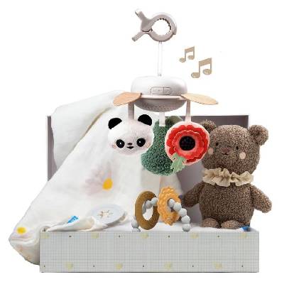 Луксозен бебешки комплект Taf Toys - 4 части (TT13515)