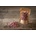 Lyra Ruby růžová 100 g