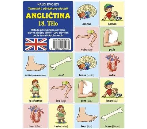 Angličtina 18. Tělo