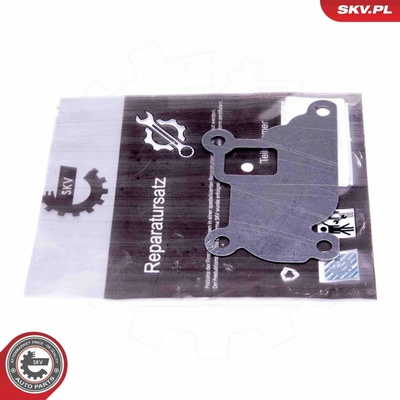 Súprava na opravu, ventil AGR ESEN SKV 14SKV526 14SKV526