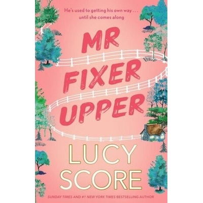 Mr Fixer Upper