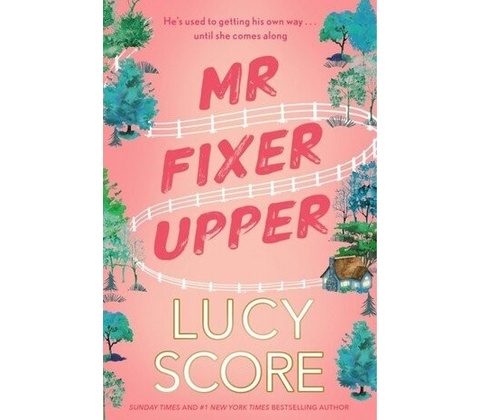 Mr Fixer Upper