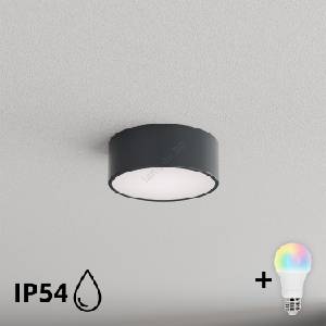 Brilagi - LED RGBW таванно осветително тяло за баня CLARE 1xE27/12W/230V Ø 20 см антрацит IP54 (LEDBG5218)