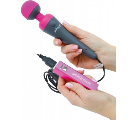 PalmPower Plug & Play Wand Massager