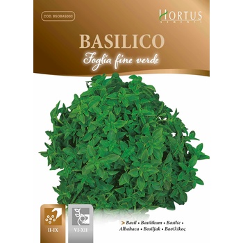 Hortus Босилек Дребнолистен Basilico foglia fine verde