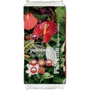 Florcom Substrát izbové rastliny 20 L