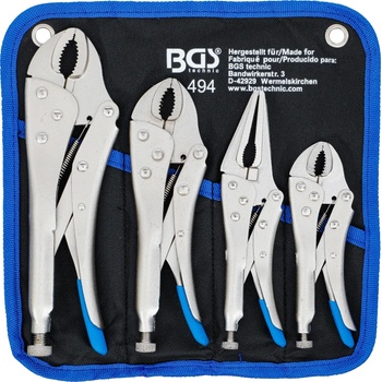 BGS 494
