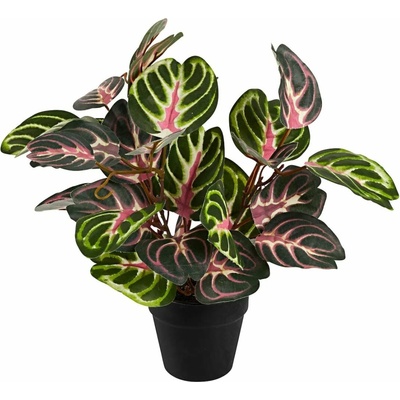 Moderne-hausfrau Umělá rostlina Alocasia v květináči